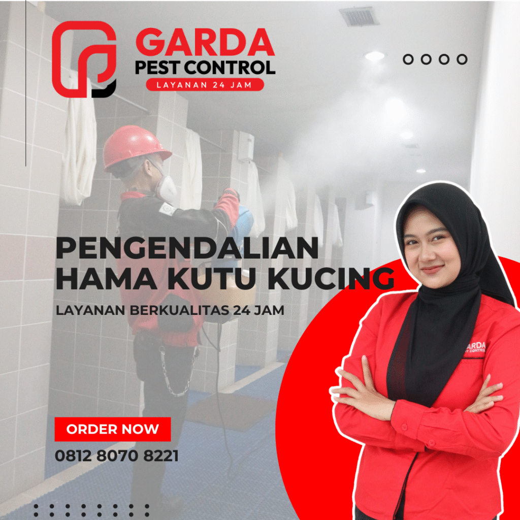 Jasa Pengendali Hama Kutu Kucing di Purwokerto Obat Semprot Aman