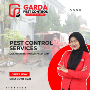 Pest Control di Purwokerto Banyumas