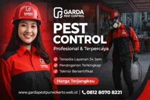 Jasa Pembasmi Lalat Purwokerto