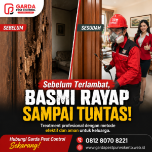 Jasa Pembasmi Rayap Lemari dan Kitchen Set Cilacap