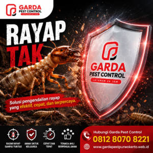 Jasa Anti Rayap Purwokerto