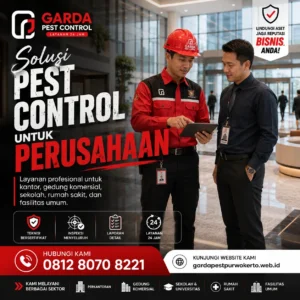 Jasa Pest Control Purwokerto per Meter