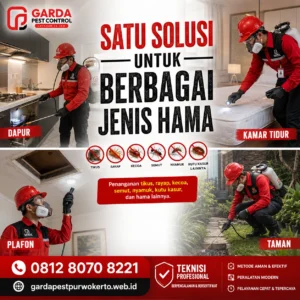Pest Control Purwokerto Cepat dan Tanggap 24 Jam
