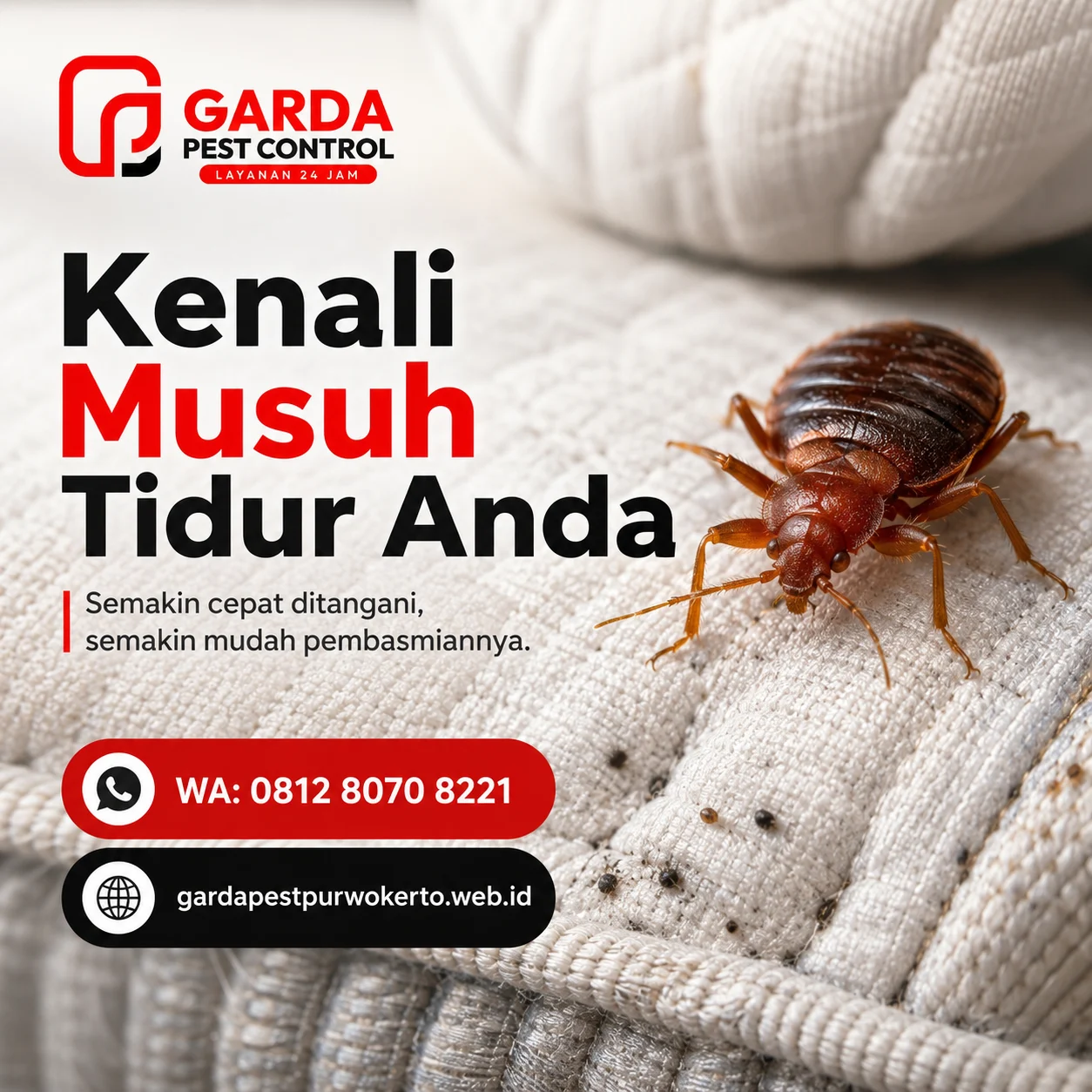 Jasa Fogging Kutu Kasur Untuk Rumah Yang Tepat ntuk Rumah Lebih Nyaman