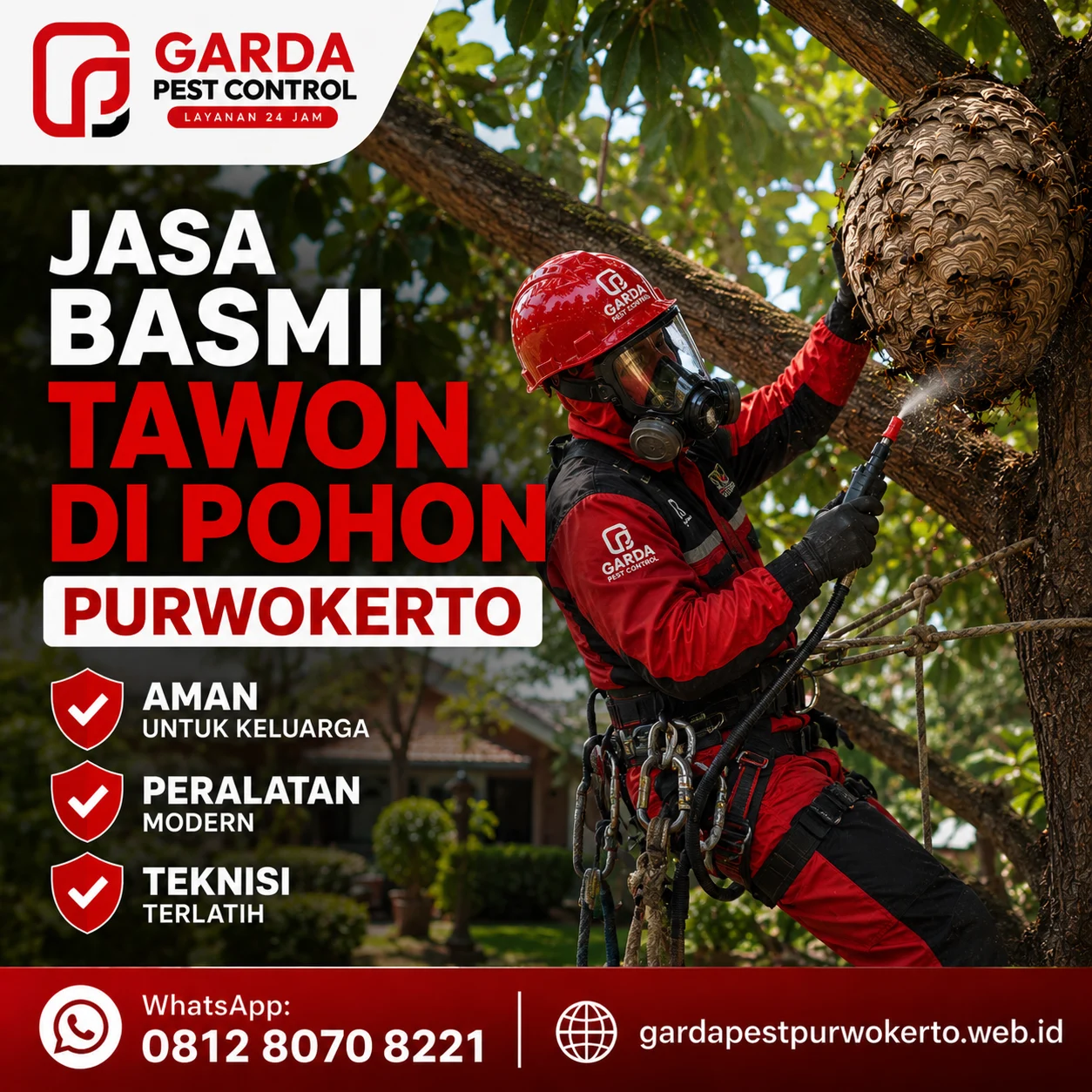 Jasa Basmi Tawon di Purwokerto Profesional Bergaransi Rumah