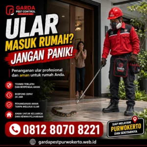 Biaya Jasa Pembasmi Ular di Purwokerto